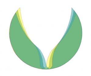 cropped logo gnap1 1 2